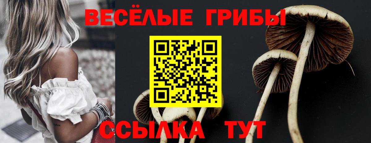 Псилоцибиновые грибы мухоморы  Псилоцибиновые грибы MAGIC MUSHROOMS  купить закладку  Вход с VPN  Рязань 